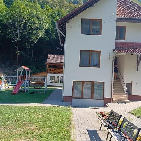 Pensiunea Casa David Şugag المظهر الخارجي الصورة