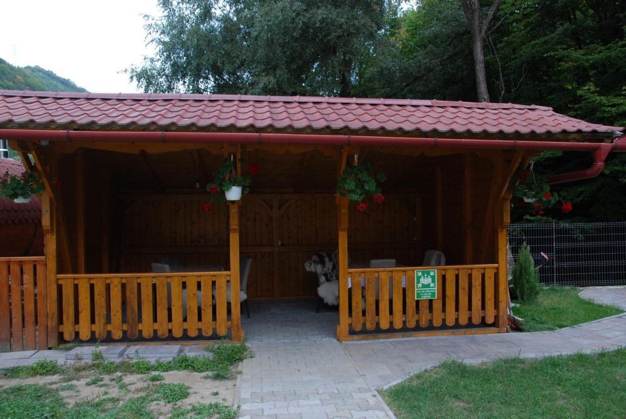 Pensiunea Casa David Şugag المظهر الخارجي الصورة