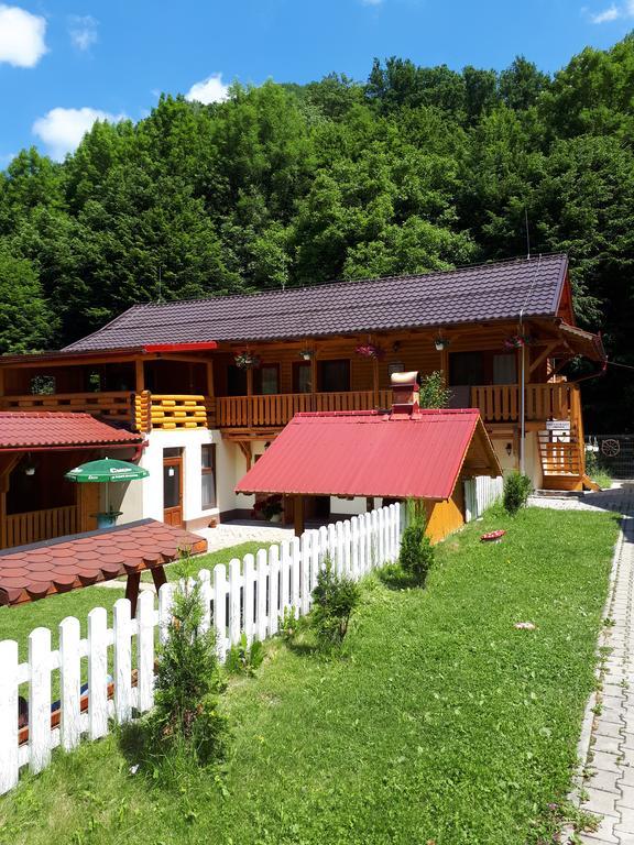 Pensiunea Casa David Şugag المظهر الخارجي الصورة