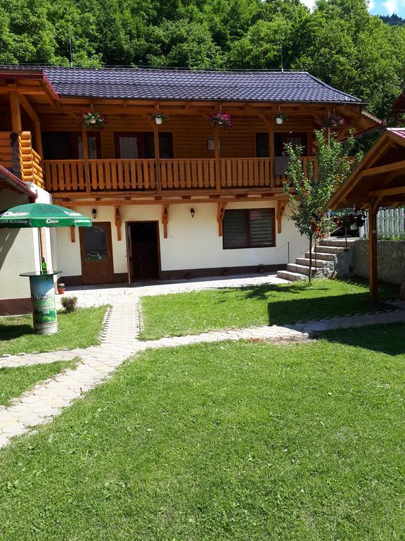 Pensiunea Casa David Şugag المظهر الخارجي الصورة