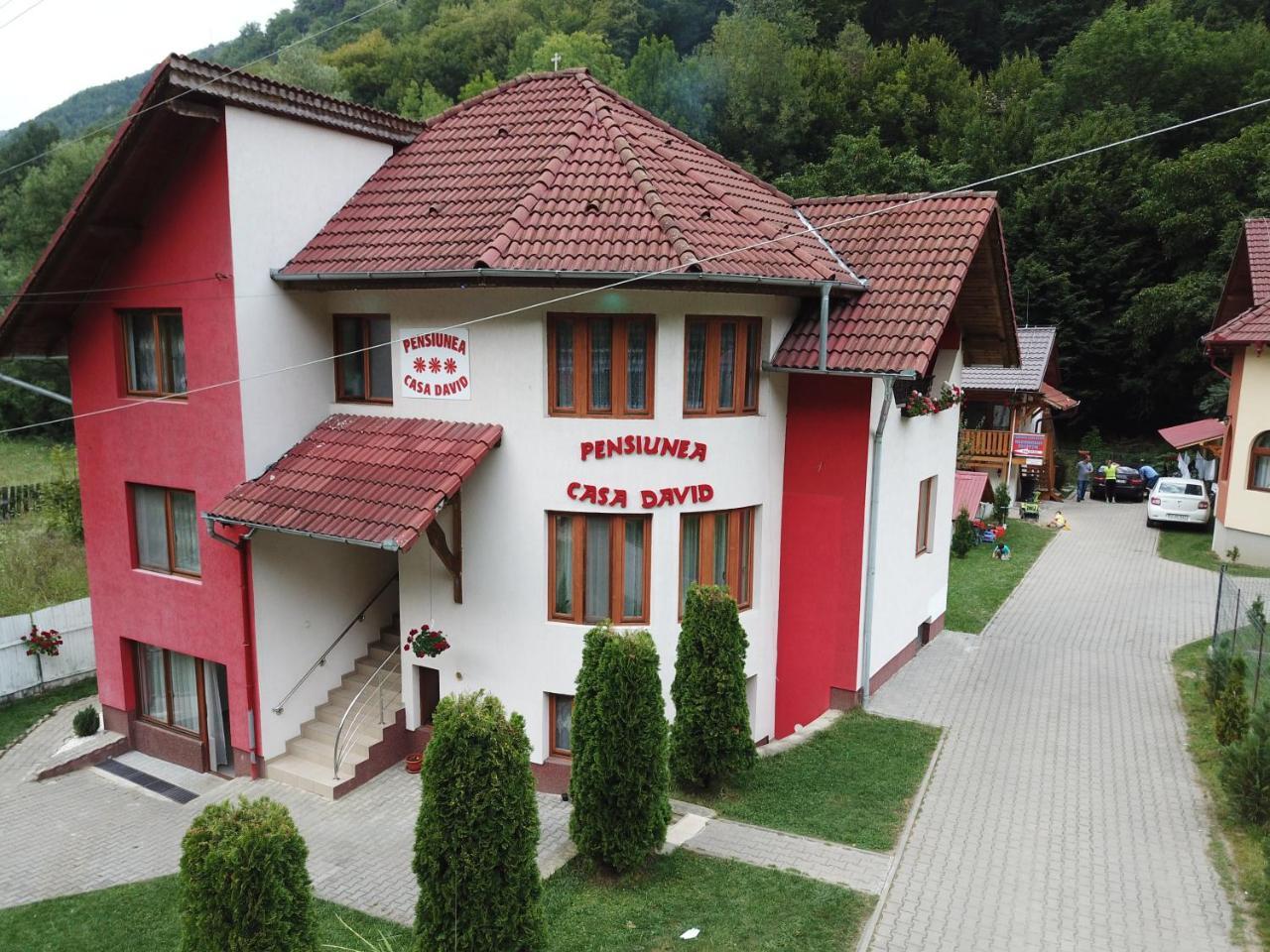 Pensiunea Casa David Şugag المظهر الخارجي الصورة